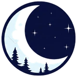 Night Web Studio logosu